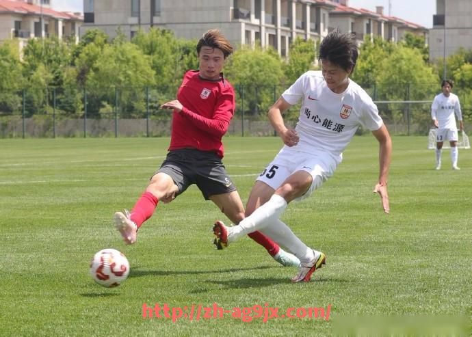 ag9游会-拜仁慕尼黑对阵德甲其他球队的比赛集锦与比分统计