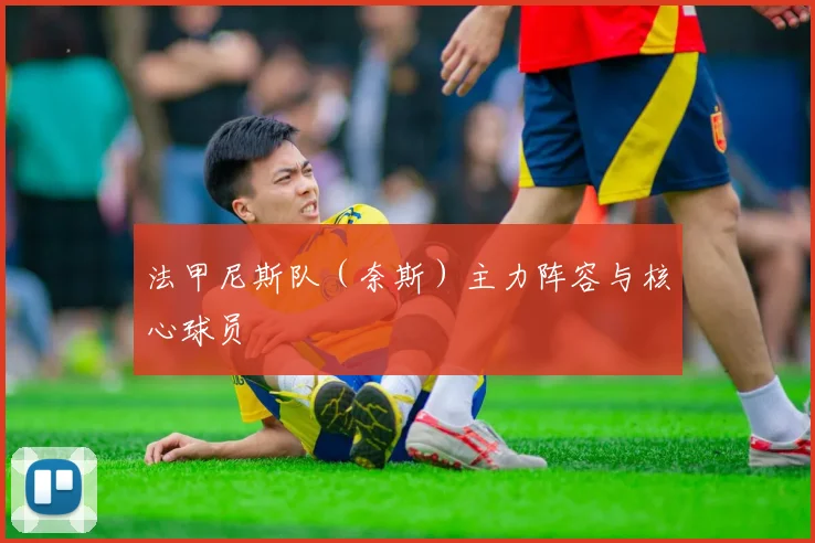 法甲尼斯队（奈斯）主力阵容与核心球员