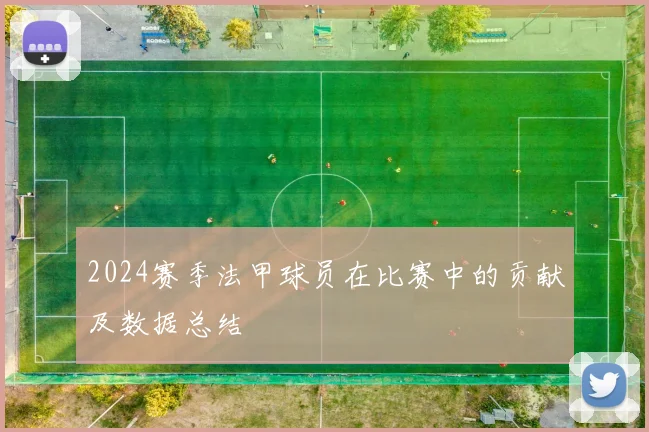 2024赛季法甲球员在比赛中的贡献及数据总结